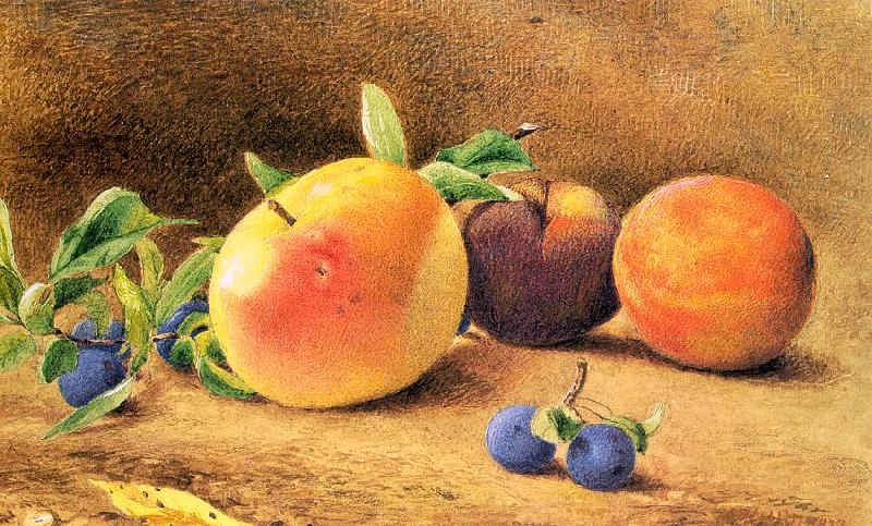 Hill, John William Study of Fruit oil painting image